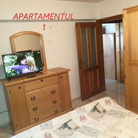 Apartament cu 2 camere,ultracentral în Arad Exterior foto