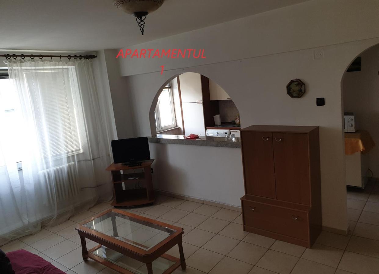 Apartament cu 2 camere,ultracentral în Arad Exterior foto