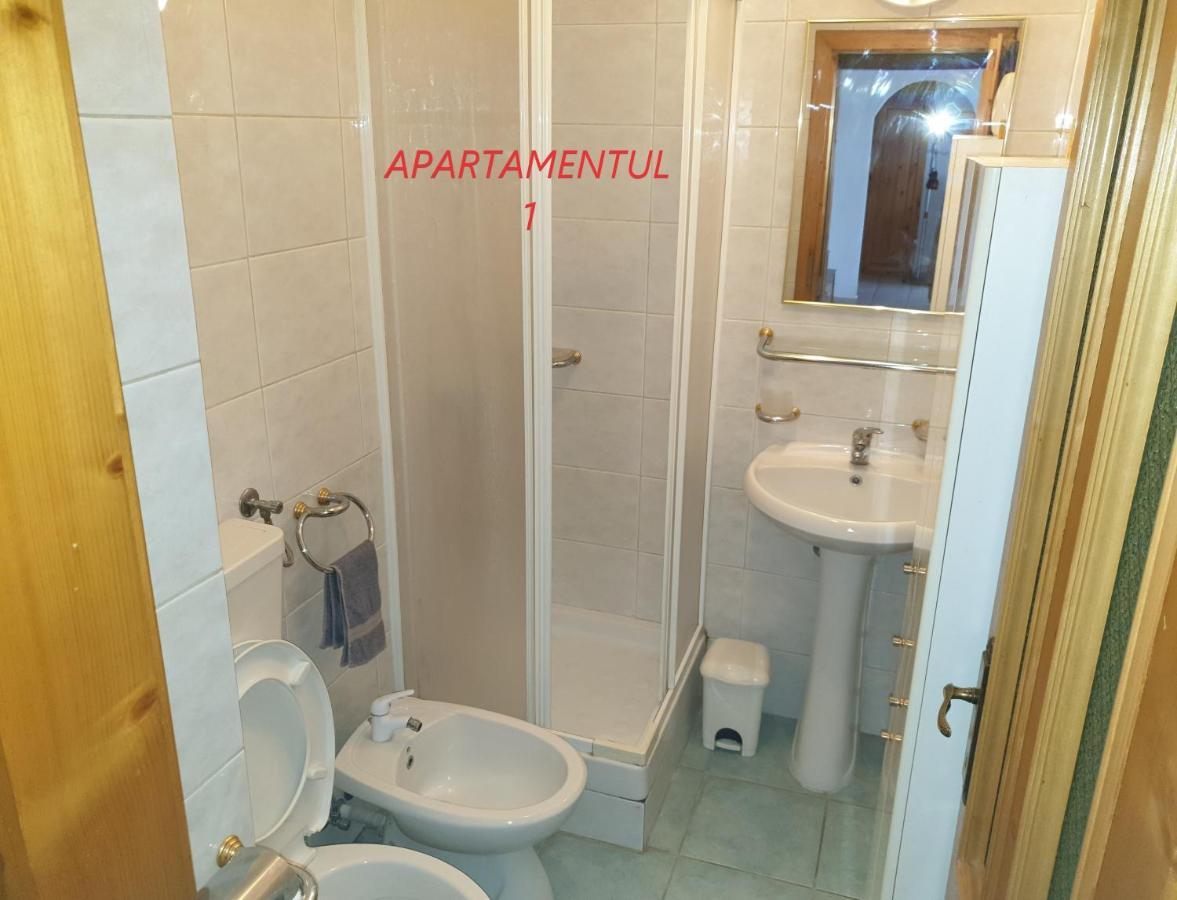 Apartament cu 2 camere,ultracentral în Arad Exterior foto