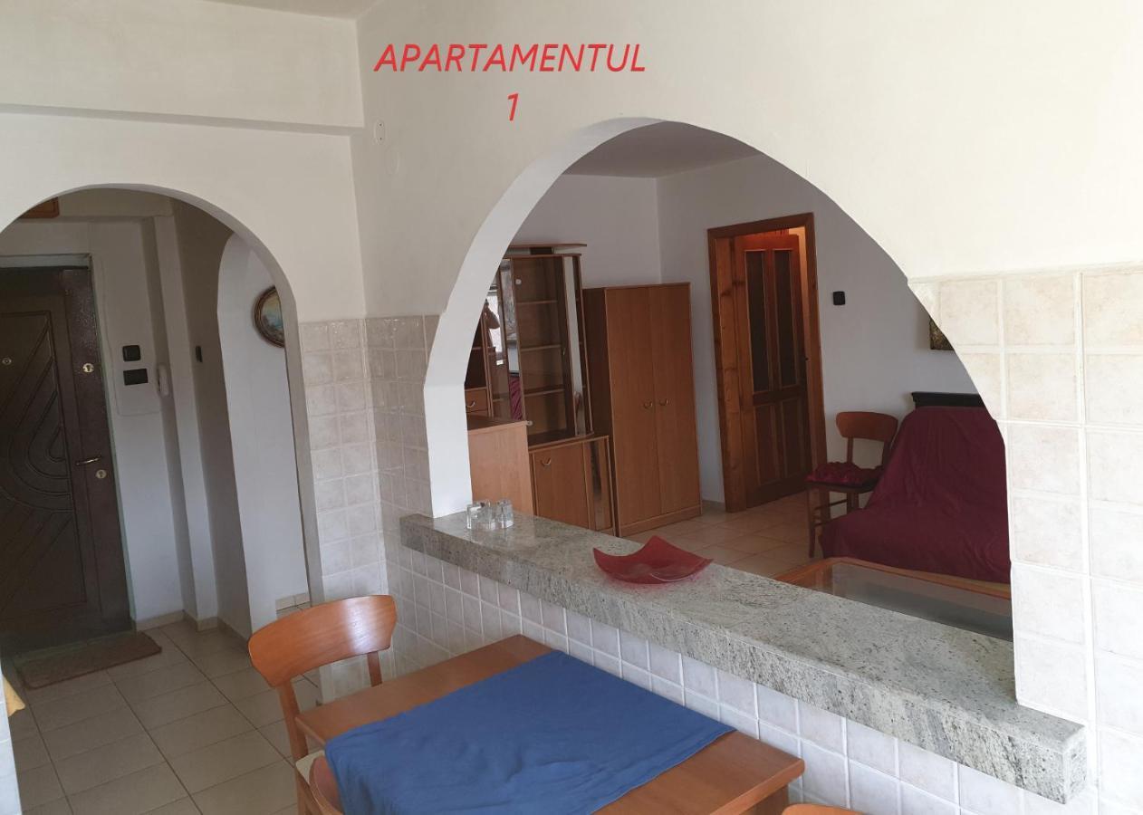 Apartament cu 2 camere,ultracentral în Arad Exterior foto