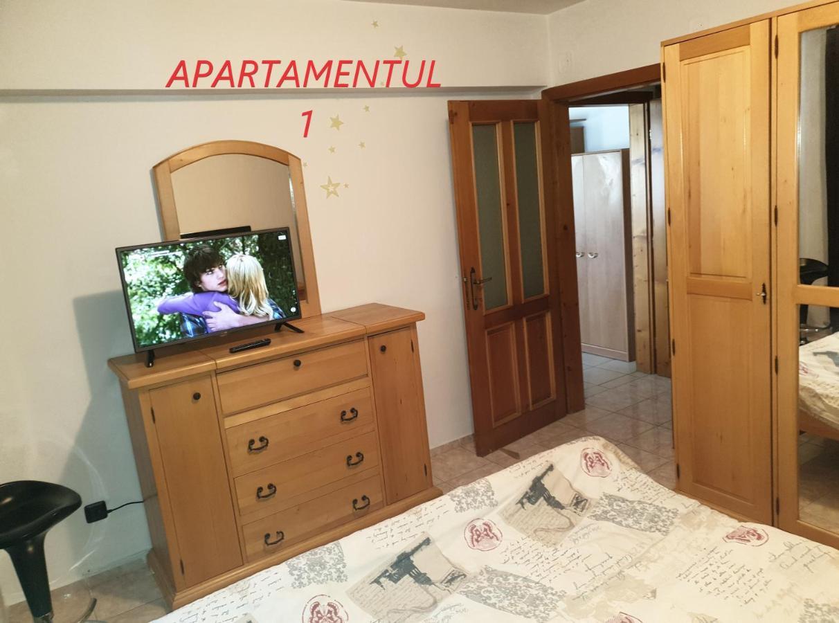 Apartament cu 2 camere,ultracentral în Arad Exterior foto